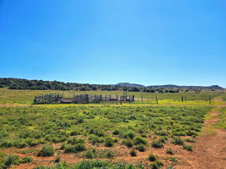4 Bedroom Property for Sale in Bloemfontein Rural Free State